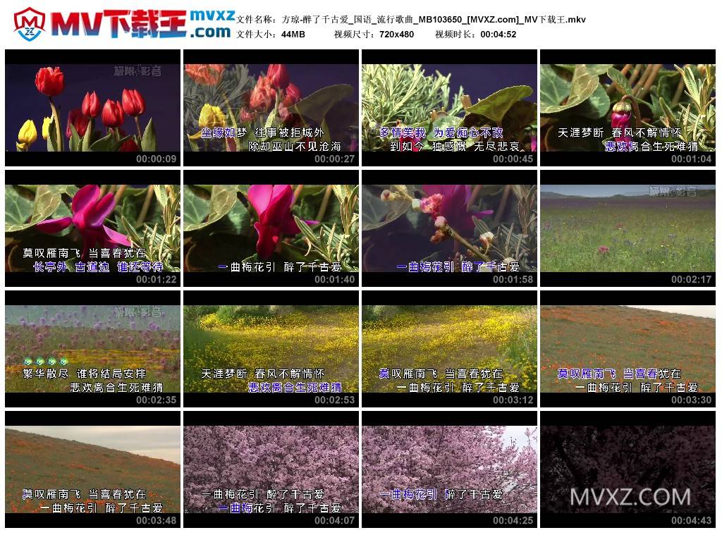 方琼-醉了千古爱_国语_流行歌曲_MB103650